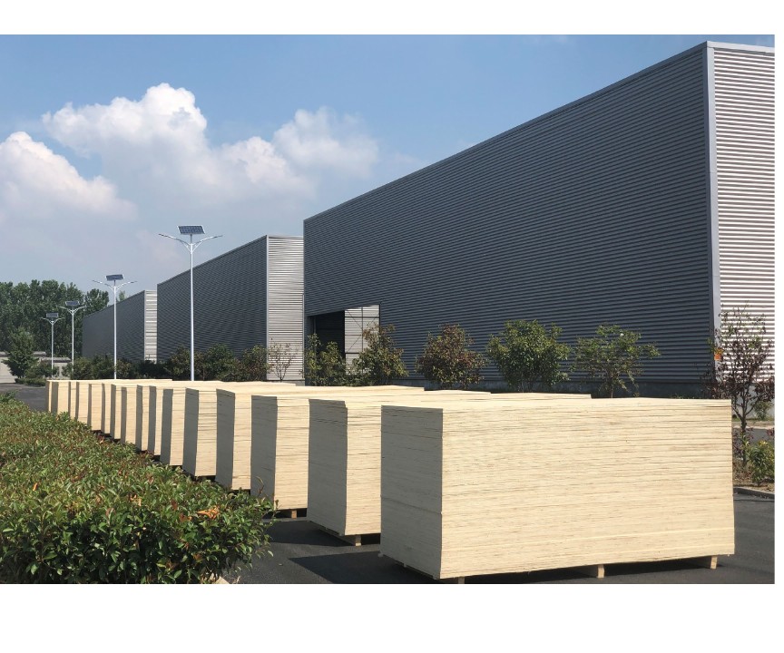 Poplar plywood